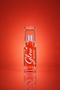 JUICY CORAL